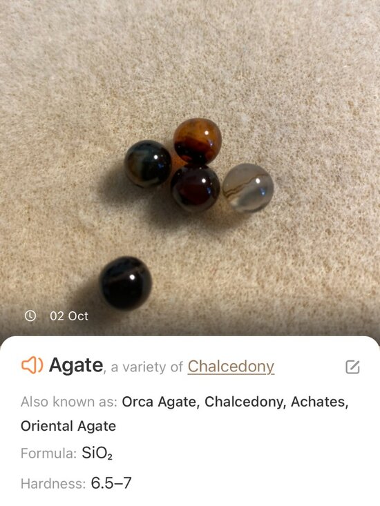 Genuine Dark Brown Agate Necklace, Natural Gemstone & Silver Leaf Branch Pendant - Picture 13 of 14